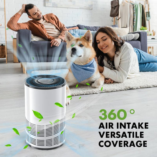 ⭐️ Sweet Furniture S – Smart Air Purifier